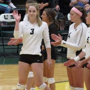 Meet your Posher, Troy